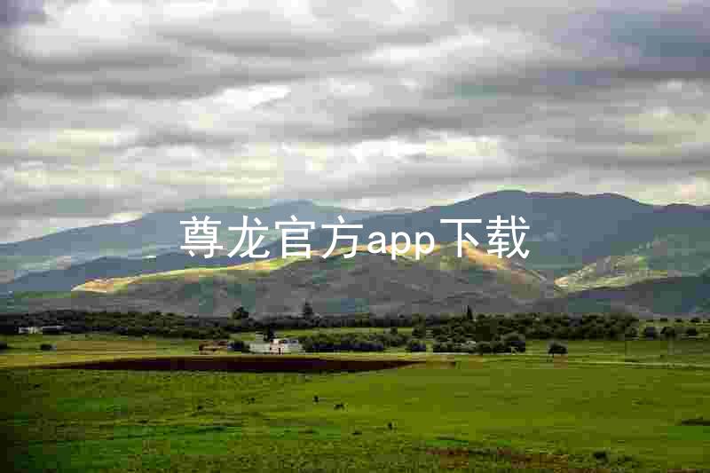 尊龙官方app下载