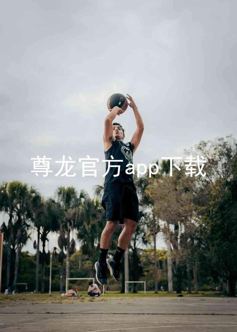 尊龙官方app下载