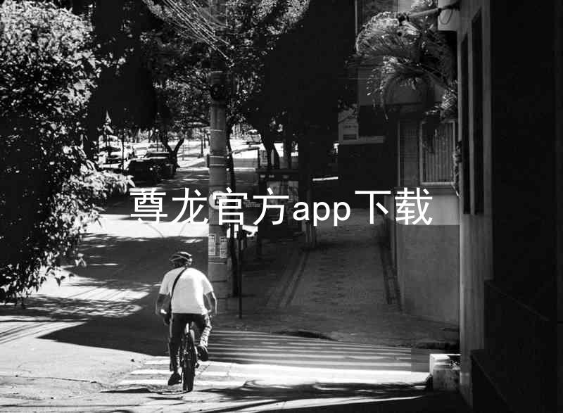 尊龙官方app下载